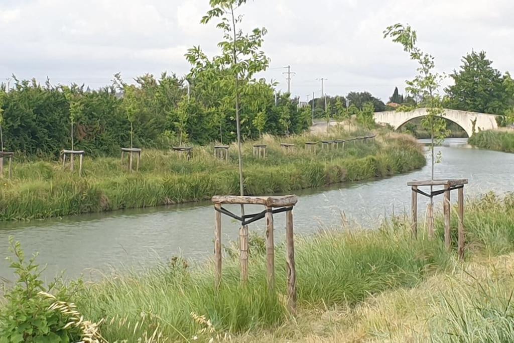 Un Bol D'Air Frais Et De Soleil Entre Campagne Et Plage Villa Beziers Ngoại thất bức ảnh